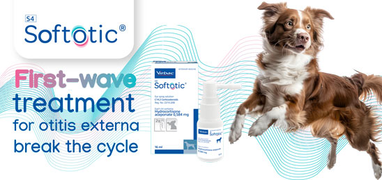 Introducing SoftOtic