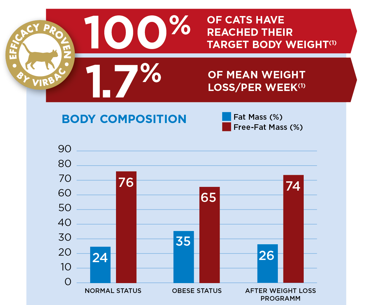 Cat-Weight-1.png